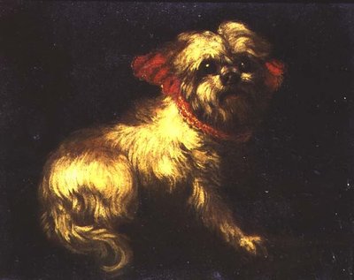 En maltesisk terrier af Pier Francesco Cittadini
