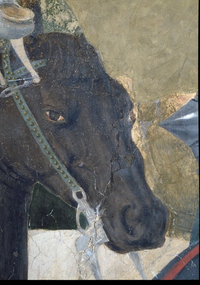 Legenden om det sande kors, Konstantins sejr i slaget ved Milvian Bridge, detalje af hestehovedet, færdiggjort 1464 fresko se også 116343 af Piero della Francesca