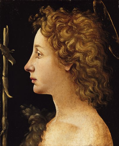 Den unge Sankt Johannes Døberen, ca. 1480-82. af Piero di Cosimo