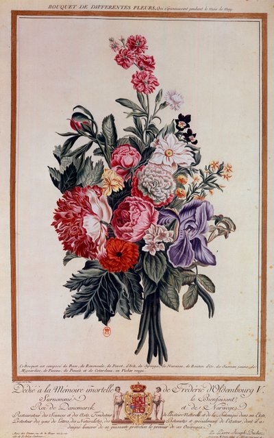 Buket blomster melange Litografi af Pierre Joseph af Pierre Joseph Buchoz