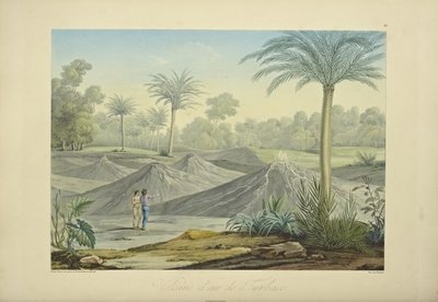 Air Volcanoes of Turbaco, graveret af Bouquet, illustration fra 