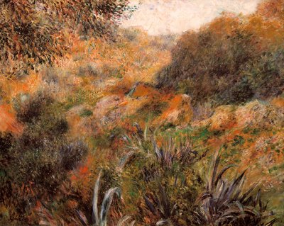 Algerisk landskab, den vilde kvindes kløft af Pierre Auguste Renoir