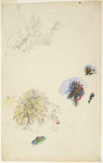 Studier af træer og løv af Pierre Auguste Renoir
