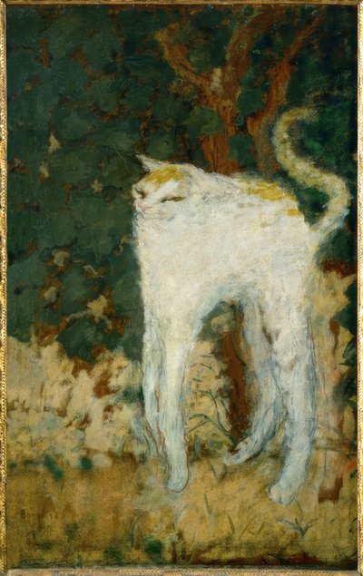 Den hvide kat af Pierre Bonnard