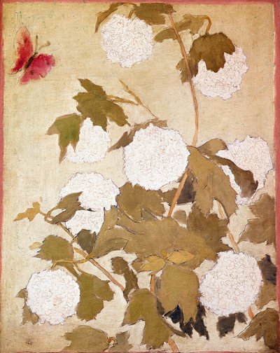 Snebolde Blomster Snebolde (Viburnum Ob) og rød sommerfugl. Maleri af Pierre Bonnard (1867-1947) Samling P. M. Samuel af Pierre Bonnard