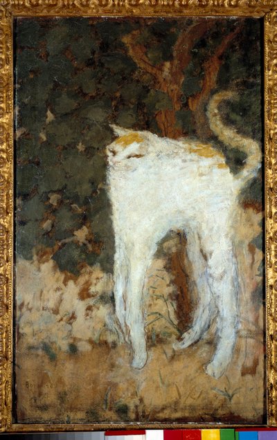 Den hvide kat af Pierre Bonnard