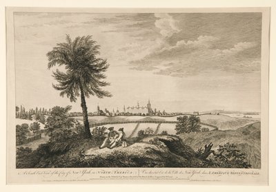 En sydøstlig udsigt over byen New York i Nordamerika af Pierre Charles Canot