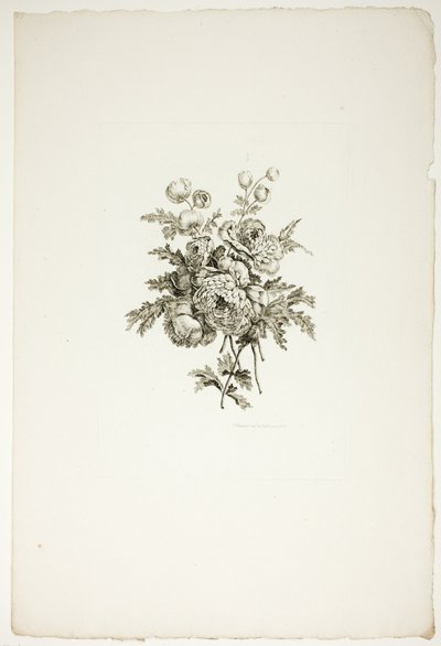 Buket med pæoner, fra samling af forskellige blomsterbuketter, opfundet og tegnet af Jean Pillement og graveret af P. C. Canot af Pierre Charles Canot
