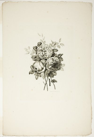 Buket med roser, fra samling af forskellige buketter af blomster, opfundet og tegnet af Jean Pillement og indgraveret af P. C. Canot af Pierre Charles Canot
