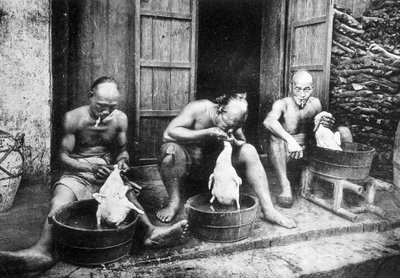 Kinesiske andefjer, "" Saigon og dens omgivelser"", phot. Dieulefils, ca. 1900. af Pierre Dieulefils