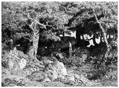 Chenes de Roche, c1832-1860, 1924 af Pierre Etienne Theodore Rousseau