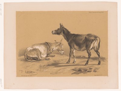 Studie af to æsler Cooper
