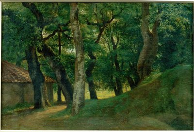 Foret de la Villa Borghese - Skoven ved Villa Borghese ... af Pierre Henri de Valenciennes