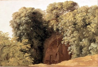 Ruinerne af en arkade med klynger af græs af Pierre Henri de Valenciennes