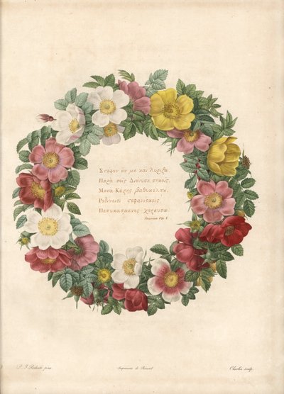 Krone af roser med et græsk motto - Eau forte af Charlin, efter en illustration af Pierre Joseph Redoute (1759-1840), fra Les Roses af Pierre Joseph Redouté