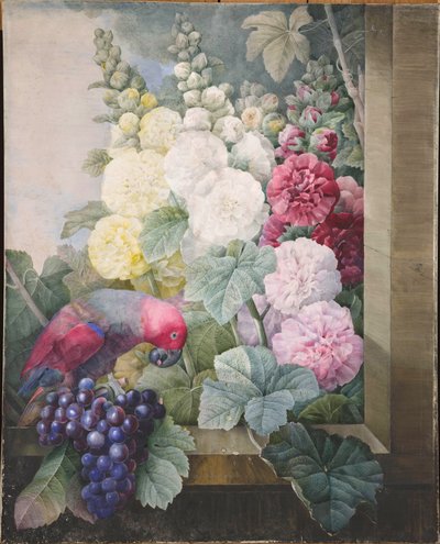 Stokroser, druer og en papegøje, 1836. af Pierre Joseph Redouté
