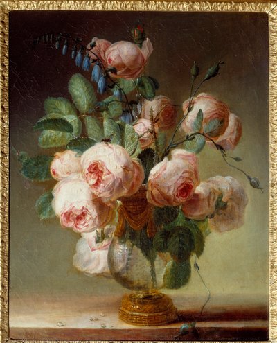 Blomstervasen En buket pæoner. Maleri af Pierre Joseph Redoute (1759-1840) 1800-tallet søn. 0,46x0,37 m Rouen, Musee des Beaux Arts af Pierre Joseph Redouté