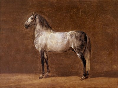 Hest af kejser Napoleon I: Cheiken, maleri af Pierre Martinet af Pierre Martinet