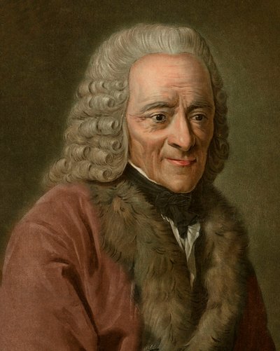 Portræt af Voltaire af Pierre Michel Alix