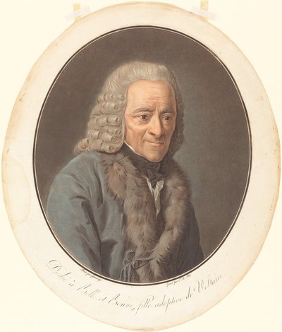 Voltaire af Pierre Michel Alix