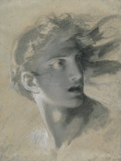 Hævnens hoved af Pierre Paul Prud