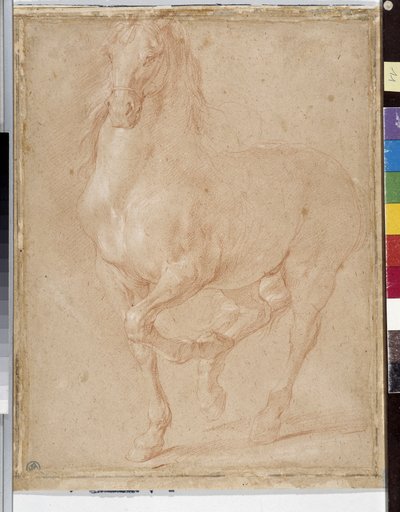 Hestestudie (sangvinsk) af Pierre Puget