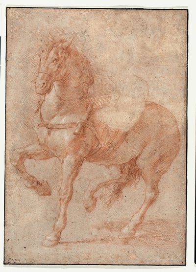 Studie af Bucephalus til relieffet "Alexander og Diogenes" af Pierre Puget