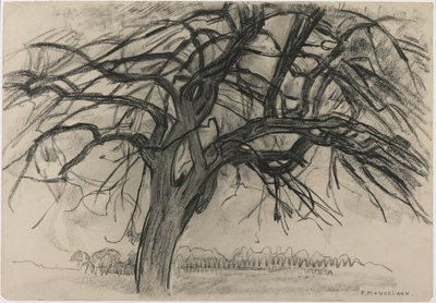 Indledende undersøgelse til aften: Det røde træ, 1908 (sort farveblyant og trækul på papir) af Piet Mondrian