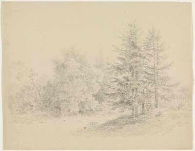 Skovudsigt med fyrretræer af Pieter Bartholomeusz. Barbiers