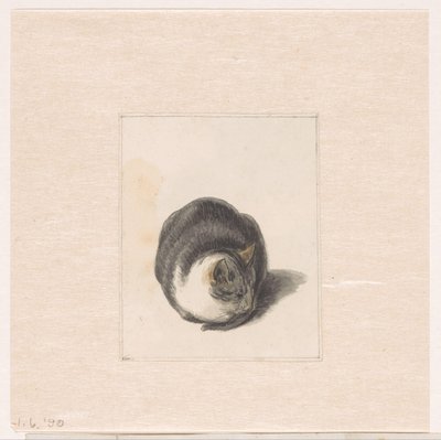 Siddende kat, set forfra af Pieter Bartholomeusz. Barbiers
