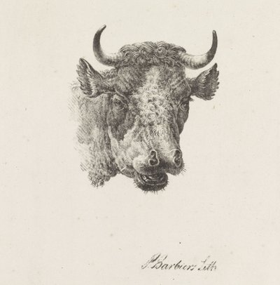 tyrehoved af Pieter Bartholomeusz. Barbiers