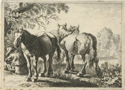 Tre heste og en bonde Forskellige dyr (serietitel) af Pieter Bodding van Laer