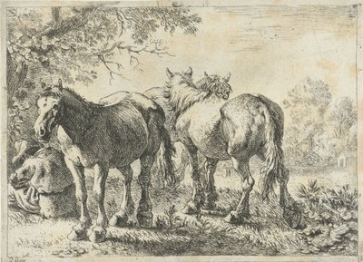 Tre heste og en bonde Forskellige dyr (serietitel) af Pieter Bodding van Laer