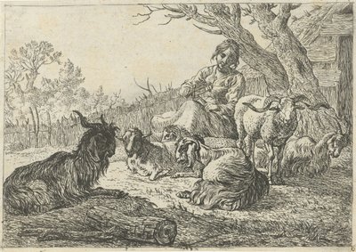 Hyrdinde midt blandt geder og får Forskellige dyr (serietitel) af Pieter Bodding van Laer