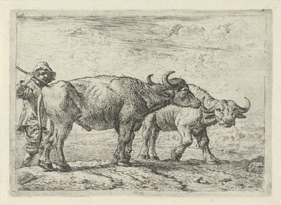 To bøfler og en hyrde Forskellige dyr (serietitel) af Pieter Bodding van Laer