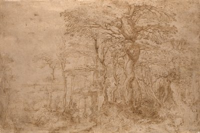 Sylvan Landskab med Fem Bjørne af Pieter Bruegel the Elder