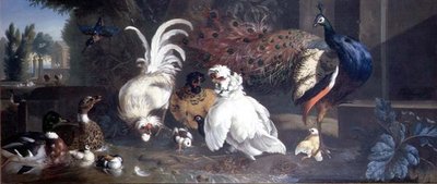 En påfugl, høns, ænder og en isfugl af Pieter Casteels