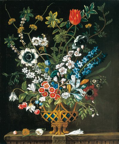 februar, fra The Twelve Months of Flowers, en blomsterkalender med stilleben af Pieter Casteels