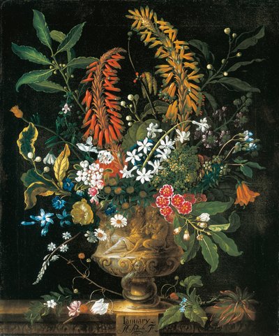 januar, fra The Twelve Months of Flowers, en blomsterkalender med stilleben af Pieter Casteels