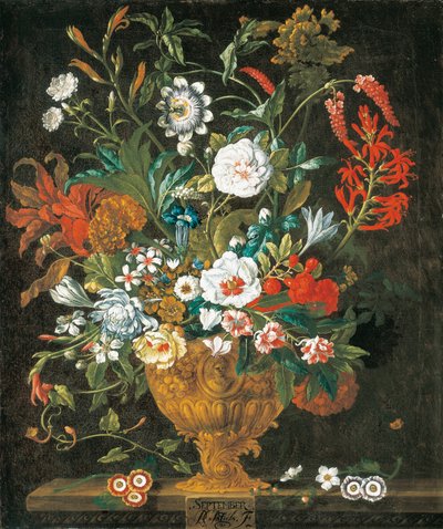september fra The Twelve Months of Flowers, en blomsterkalender med stilleben af Pieter Casteels