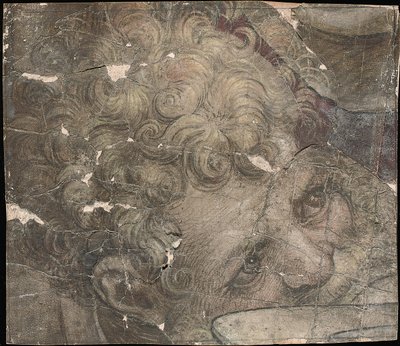 Hovedet af en skægget mand ser opad af Pieter Coecke van Aelst