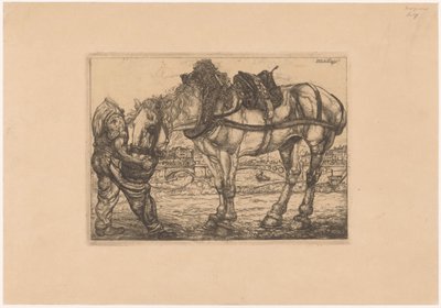 Mand fodrer en hest fra en spand L