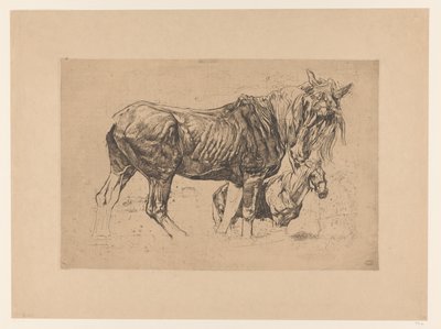 Studieark med to heste af Pieter Dupont