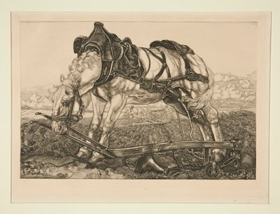 Arbejdshest af Pieter Dupont