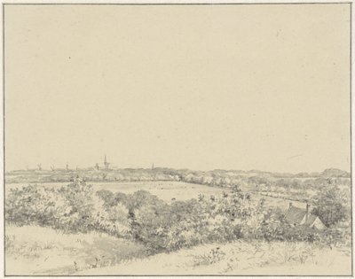 Udsigt over Haarlem, set fra klitterne af Pieter Ernst Hendrik Praetorius