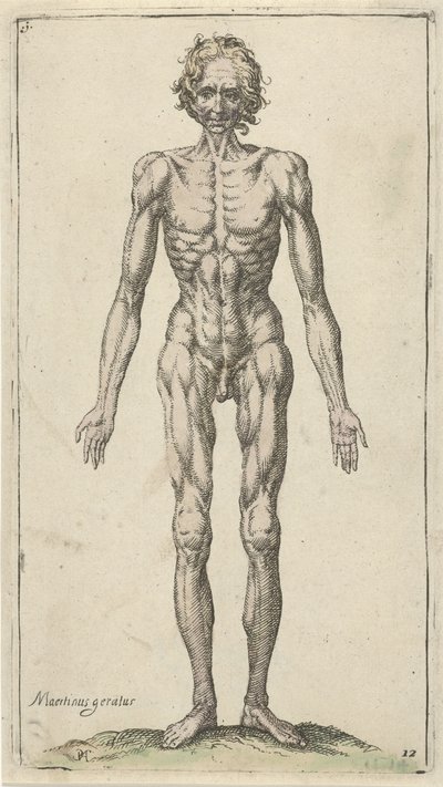 Studie af en nøgen mand Anatomiske studier (serietitel) af Pieter Feddes van Harlingen