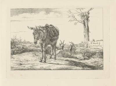 Et æsel og to geder af Pieter Gerardus van Os