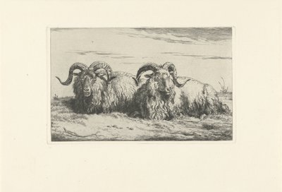 To liggende væddere Får og geder (serietitel) af Pieter Gerardus van Os