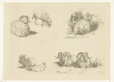 Fire forestillinger med får og geder Får og geder (serietitel) af Pieter Gerardus van Os