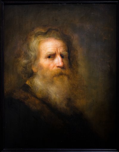 Hovedet af en gammel mand af Pieter Harmansz Verelst
